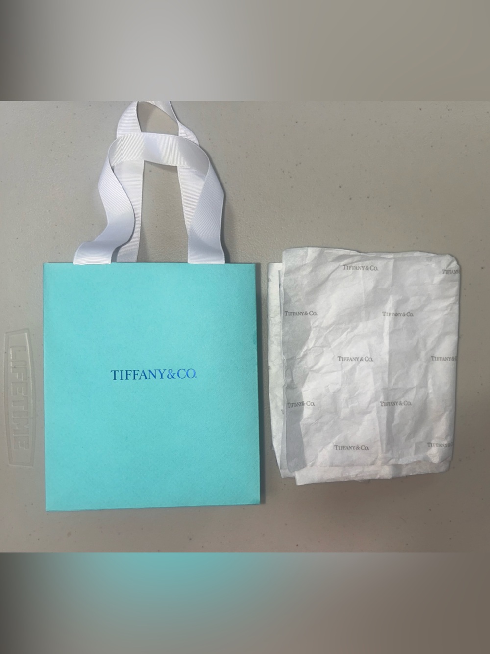Tiffany & Co. Gift Bag